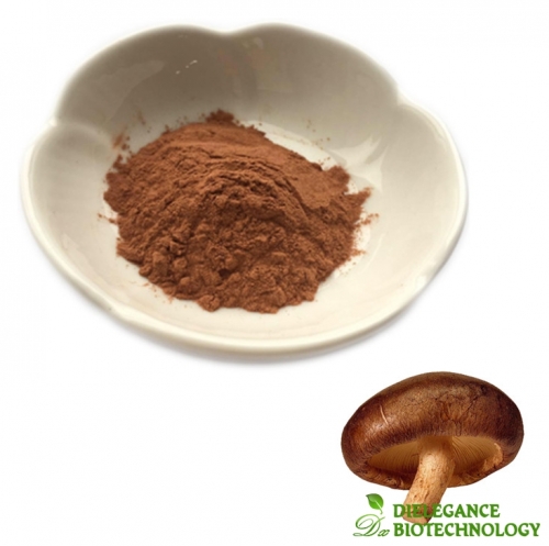 Shiitake Mushroom Extract