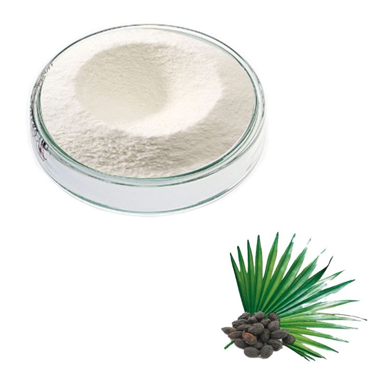 Saw Palmetto Extract Benefits | Saw Palmetto Extract Supplier & Manufacturer