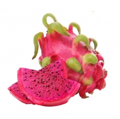 Red Dragon Fruit Extract