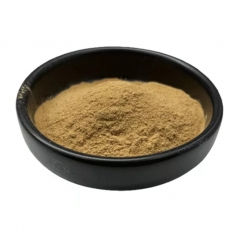 Fomes Fomentarius Extract Powder