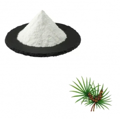 Saw Palmetto Extract