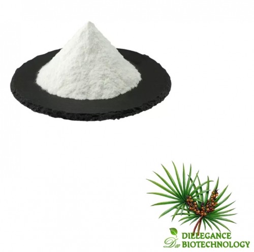 Saw Palmetto Extract