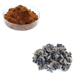 Black Fungus Extract