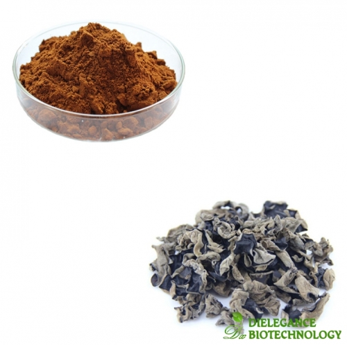 Black Fungus Extract