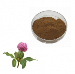 Top Quality Plant Extracts Red Clover Flower Extract