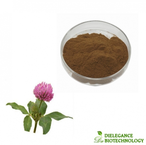 Top Quality Plant Extracts Red Clover Flower Extract