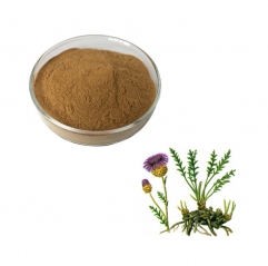 Pure Leuzea Rhaponticum Carthamoides Root Extract