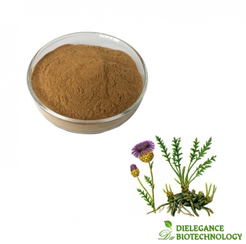 Pure Leuzea Rhaponticum Carthamoides Root Extract