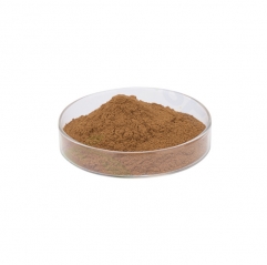 Pure Leuzea Rhaponticum Carthamoides Root Extract