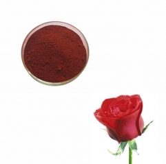 Pure Organic Food Grade Rose Petal Powder Flower Ingredients