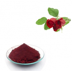Pure Organic Food Grade Rose Petal Powder Flower Ingredients