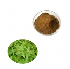 Factory Supply Siegesbeckia Extract Powder