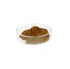 Factory Supply Siegesbeckia Extract Powder