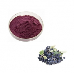 Pure Aronia Berry Extract Chokeberry Fruit Powder Anthocyanin