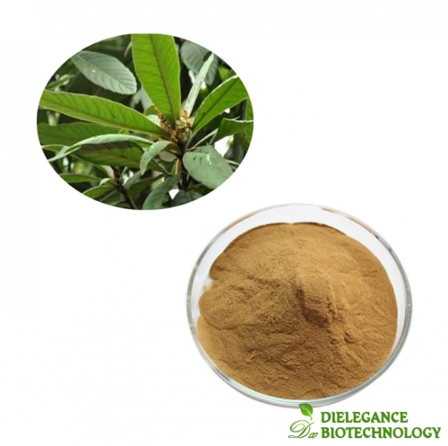 Pure Loquat Leaf Extract Ursolic Acid 25% Bulk Powder