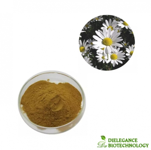 Pure Wild Chrysanthemum Morifolium Flower Extract Powder