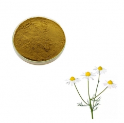 Pure Wild Chrysanthemum Morifolium Flower Extract Powder