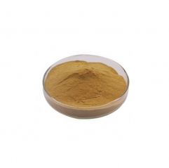 Pure Wild Chrysanthemum Morifolium Flower Extract Powder