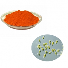 Pure Dunaliella Salina Algae Extract 5% Beta Carotene Powder