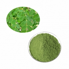 Pure Natural Organic Moringa Oleifera Leaf Extract Powder