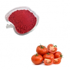 Supply Bulk Lycopene 10% Tomato Extract Powder with Best Price