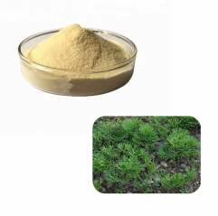 Light Grade Pure Lycopodium Spore Powder for Fireworks