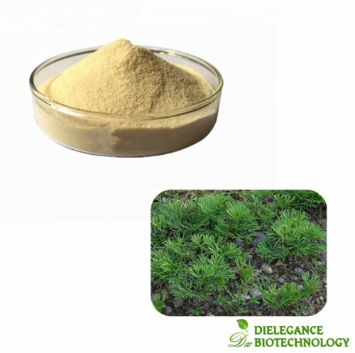 Light Grade Pure Lycopodium Spore Powder for Fireworks