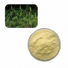 Light Grade Pure Lycopodium Spore Powder for Fireworks