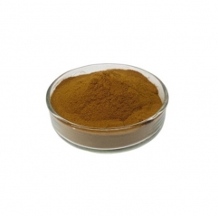 Natural Butea Superba Extract 20:1 Powder for Men