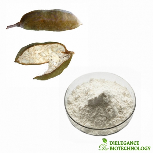 Supply Organic Baobab Fruit Powder Baobab Powder 10:1 20:1 Baobab Extract