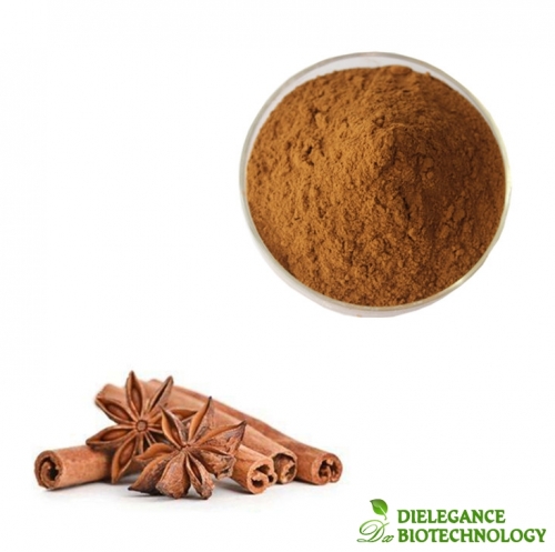 Food Grade Pure Cinnamon Bark Extract Powder with Wholesale Price