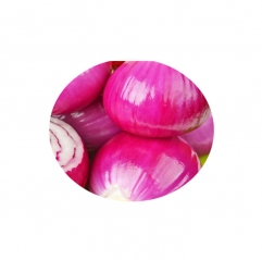 Wholesale 100% Pure Food Grade Onion Flavor Oil in Bulk