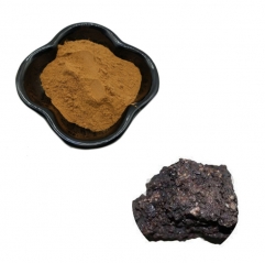 High Quality Pure Natural Shilajit Extract Fulvic Acid Powder