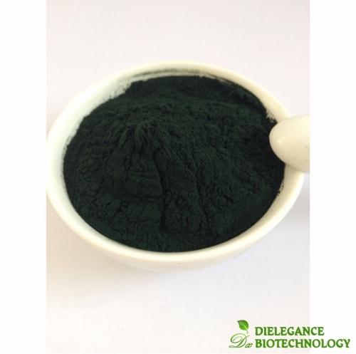 Supply Bulk Food Grade Nannochloropsis Oceanica Algae Powder