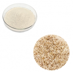 Fiber Supplement Organic Psyllium Husk Extract 95% Powder Bulk 1KG