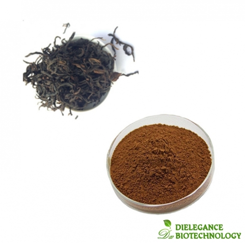 Food and Drinks Additives Kombucha Powder Fermented Black Tea Extract Manufacturer