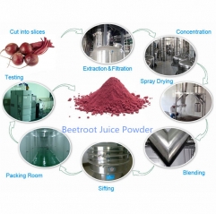 Spray Dried Food Grade Red Beet Root Extract Powder Bulk