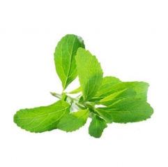 Stevia Leaf Extract Powder