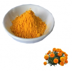 Marigold Extract Lutein Powder