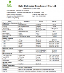 Rhodiola Salidroside Extract Powder