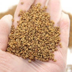 Pure Bulk Powder Fenugreek Seed Extract Powder 50% Saponins