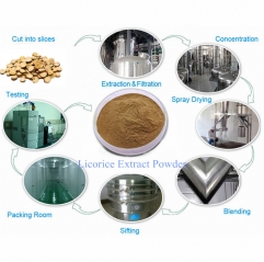 Organic Licorice Root Extract Powder or Liquid with Best Price