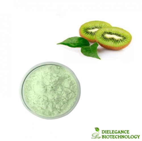 Supply Kiwi Powder Water Soluble Kiwi Fruit Powder OEM Acceptable