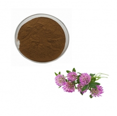 Quality Red Clover Extract Powder 8% Isoflavones USP Standard