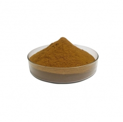 Natural Plant Epimedium Leaf Extract Powder 10% 20% Icariin