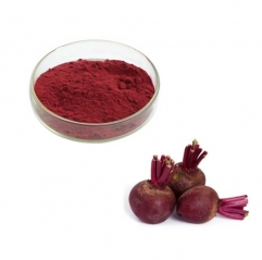 Wholesale 20:1 Organic Red Beet Root Beetroot Juice Extract Powder