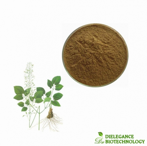 Organic Horny Goat Weed Extract Powder 20% Icariin Supplement