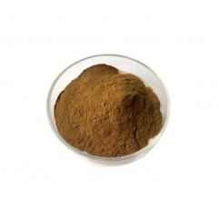 Pure Perilla Frutescens Leaf Extract Powder Healthcare Supplement