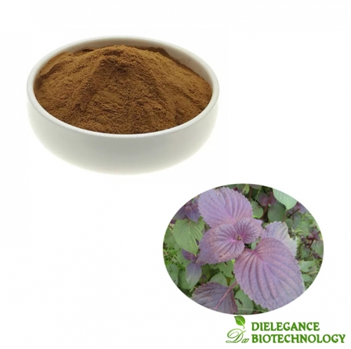 Pure Perilla Frutescens Leaf Extract Powder Healthcare Supplement