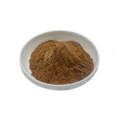 Wholesale Phyllanthus Urinaria Phyllanthus Niruri Herbs Extract Powder